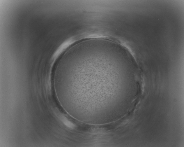 X0000082170296200701270007