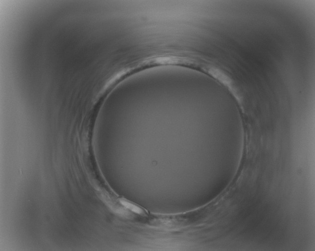 X0000082170297200701270007