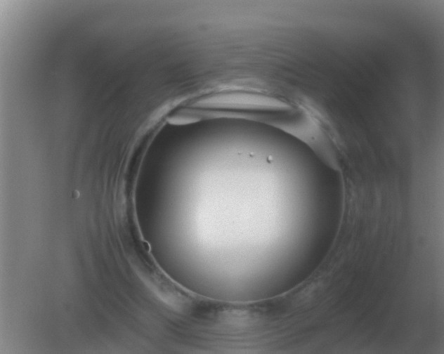 X0000082170298200701270007