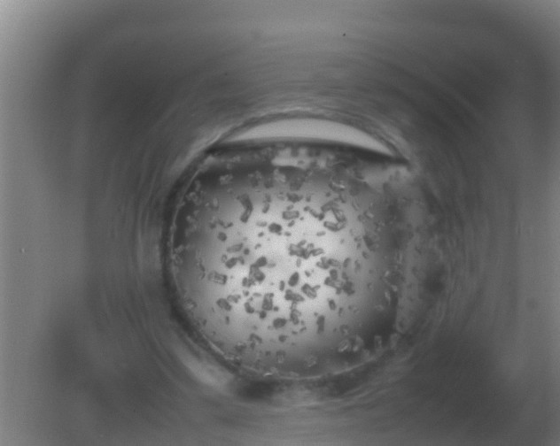 X0000082170299200701270007