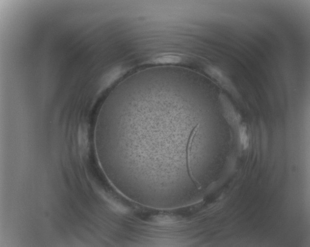 X0000082170300200701270007