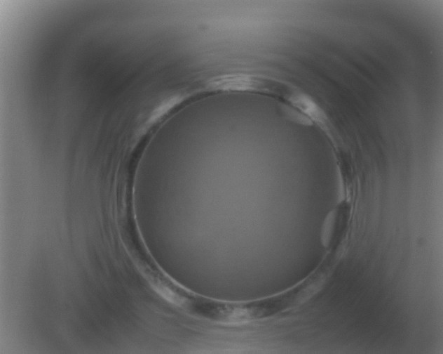 X0000082170301200701270007