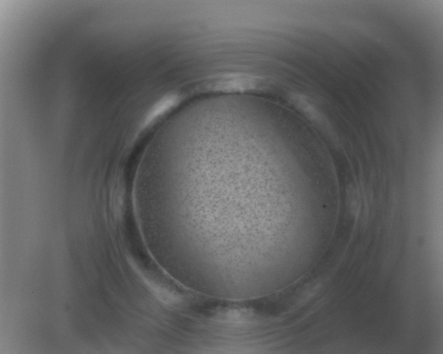 X0000082170304200701270007