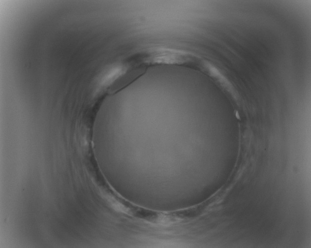 X0000082170305200701270007