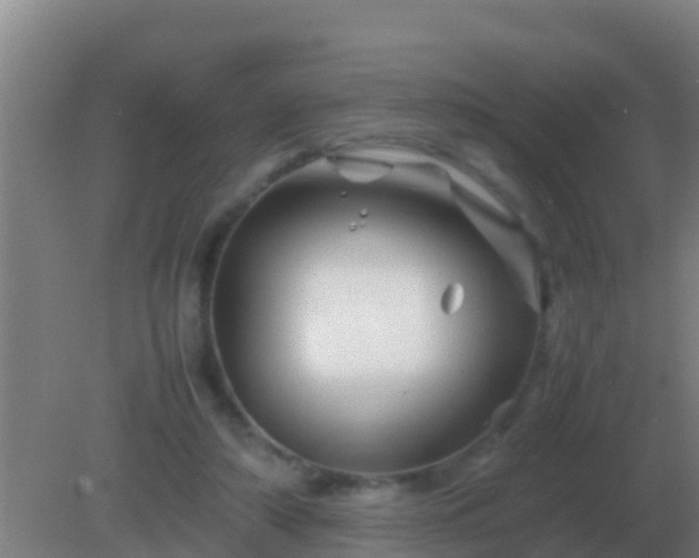 X0000082170306200701270007