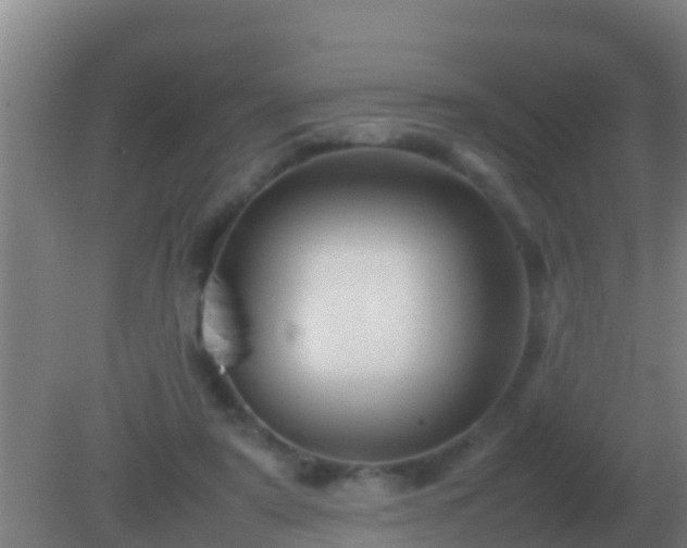 X0000082170307200701270007