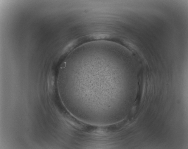 X0000082170308200701270007