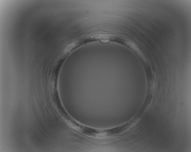 X0000082170309200701270007