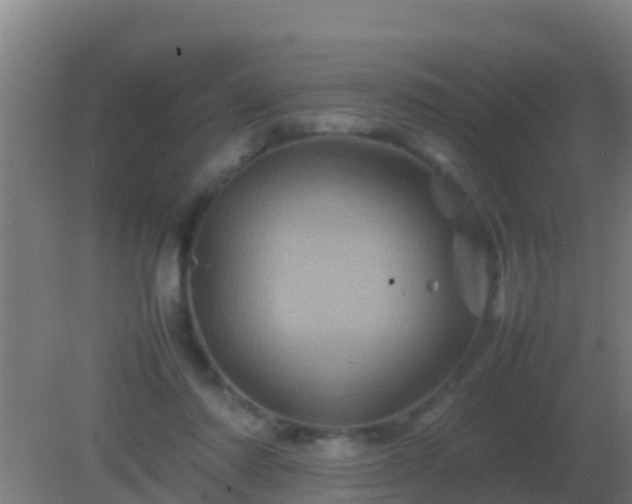 X0000082170310200701270007