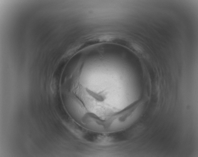 X0000082170311200701270007