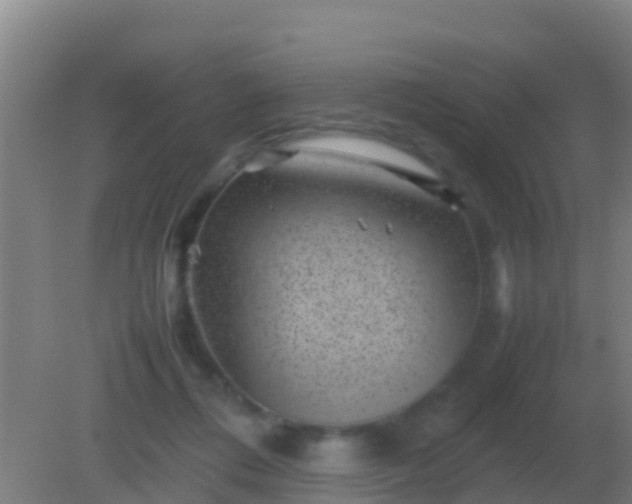 X0000082170312200701270007