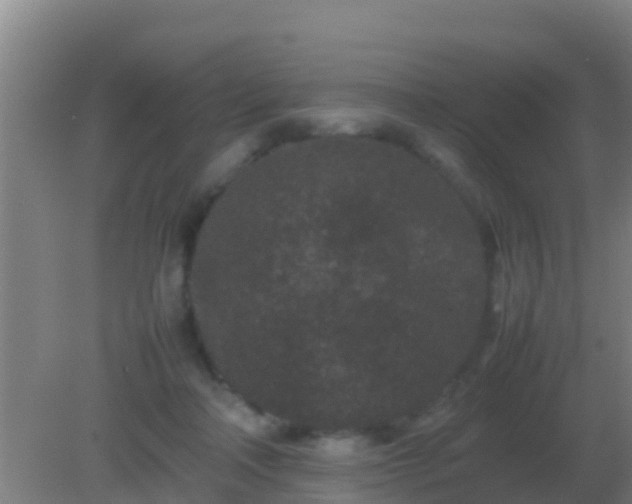 X0000082170314200701270007