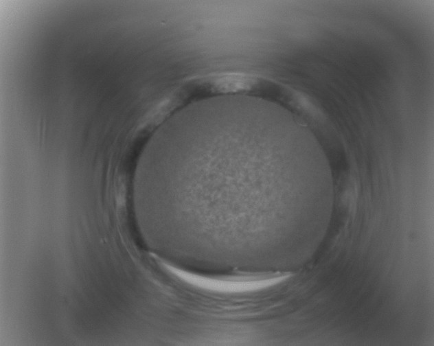 X0000082170315200701270007