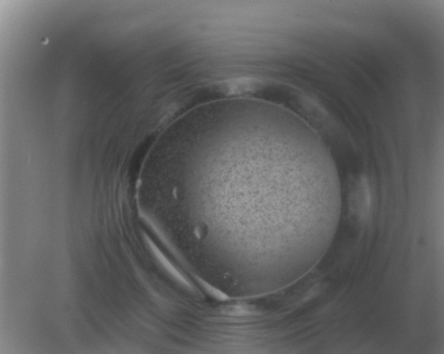 X0000082170316200701270007