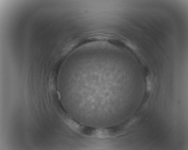 X0000082170317200701270007