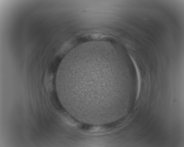 X0000082170319200701270007