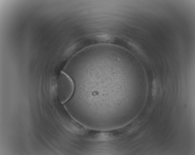 X0000082170320200701270007