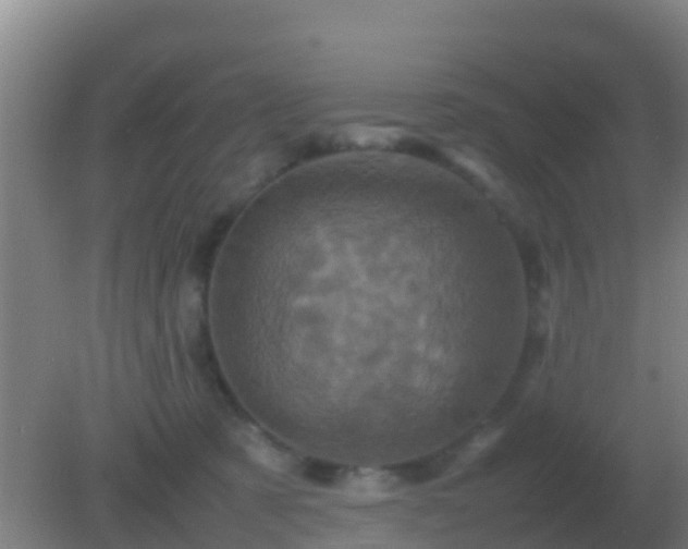 X0000082170321200701270007