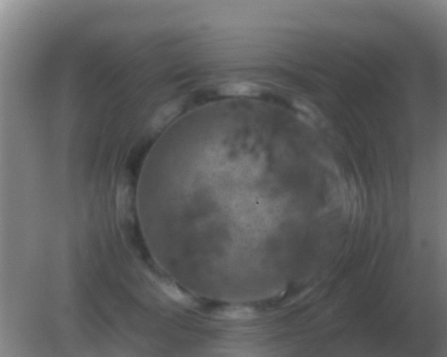 X0000082170322200701270007