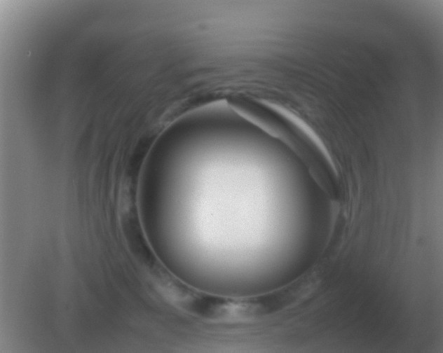 X0000082170323200701270006