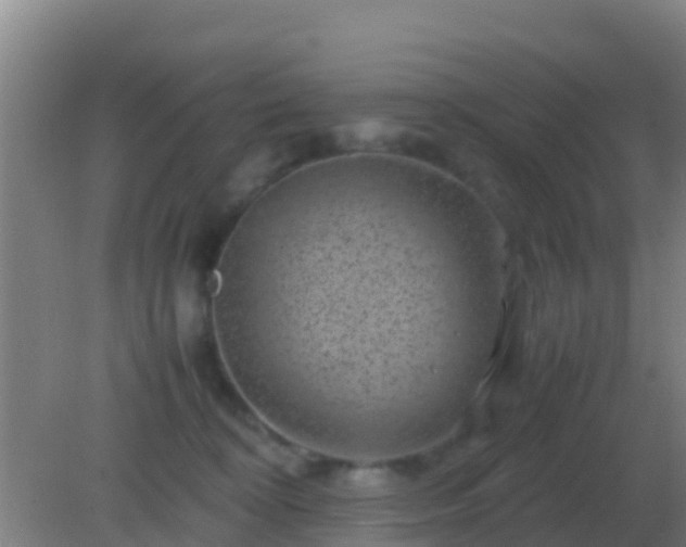 X0000082170324200701270006