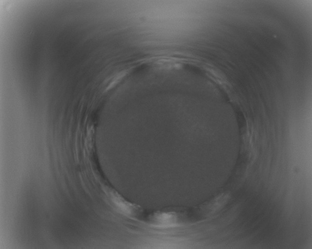 X0000082170325200701270006