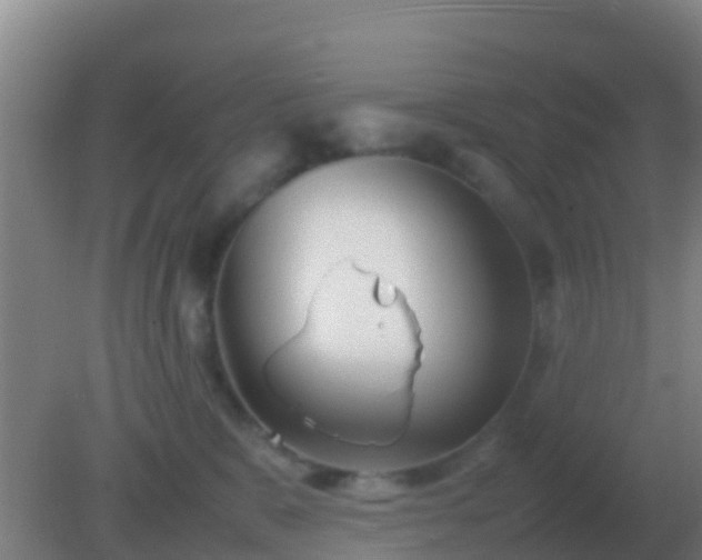 X0000082170327200701270006