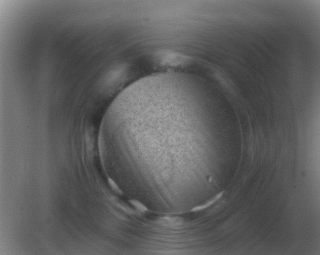 X0000082170328200701270006