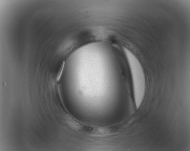 X0000082170329200701270006