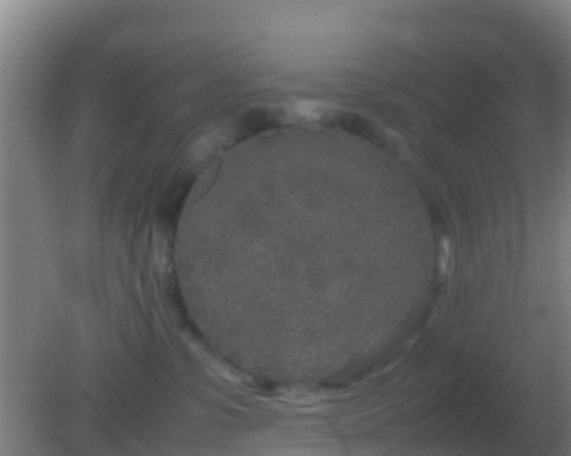 X0000082170331200701270006