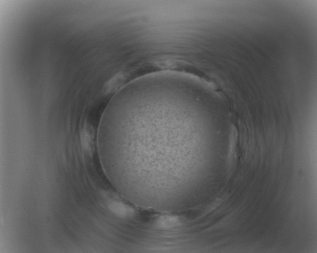 X0000082170332200701270006