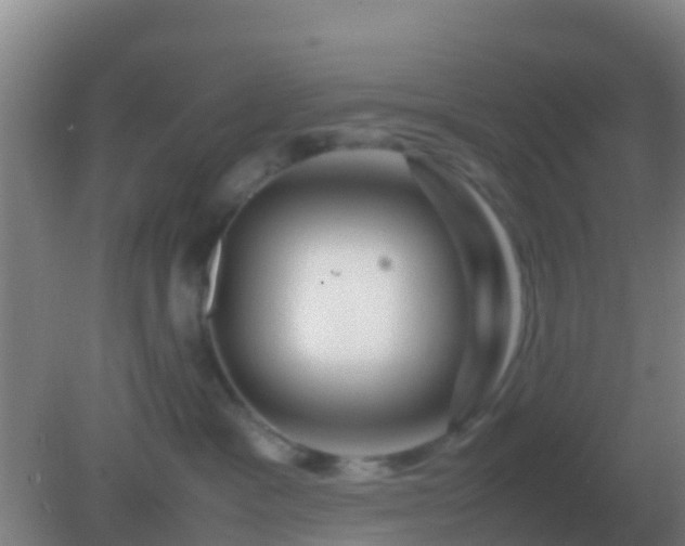 X0000082170333200701270006