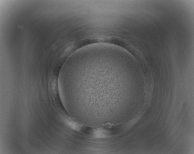 X0000082170336200701270006