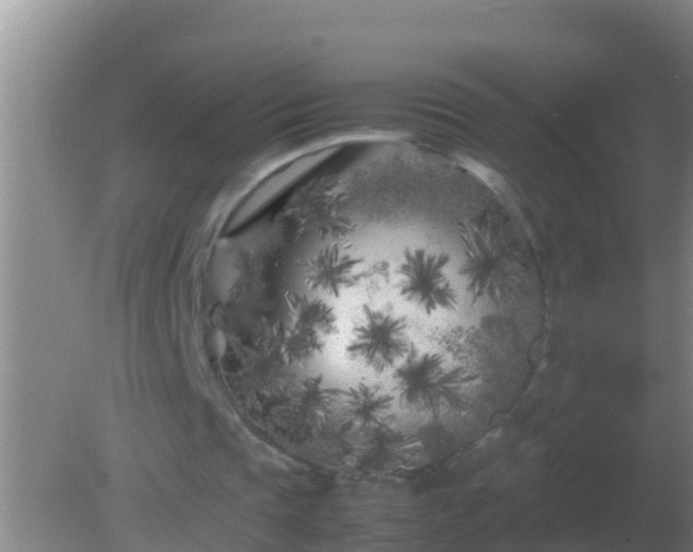 X0000082170337200701270005