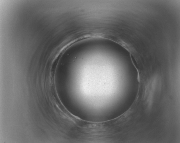 X0000082170338200701270005