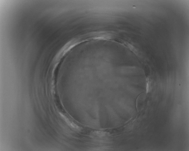 X0000082170339200701270006