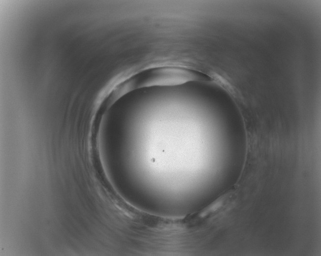 X0000082170340200701270006