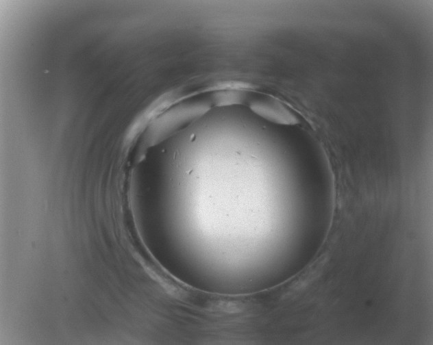 X0000082170341200701270006