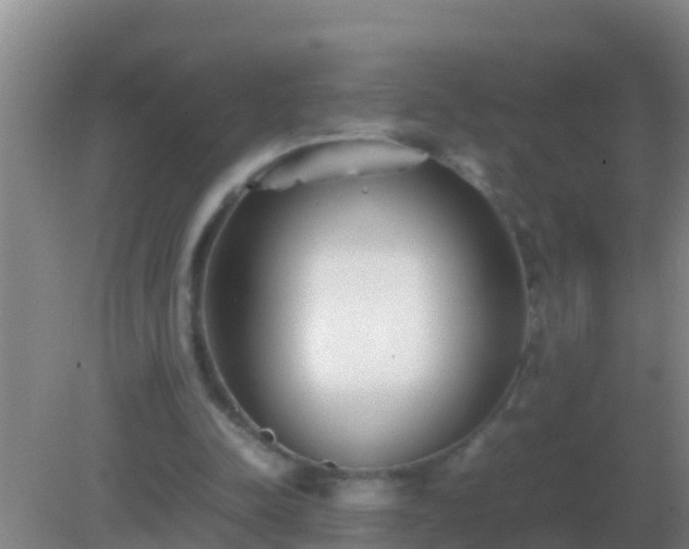 X0000082170342200701270006