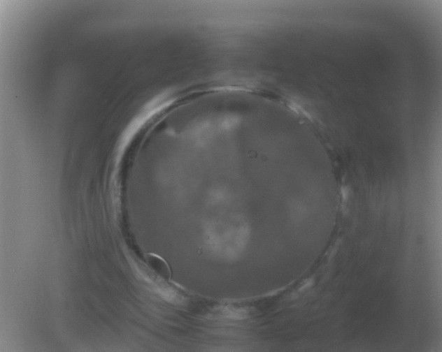 X0000082170343200701270006