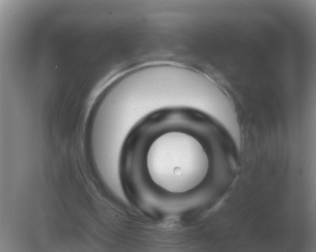 X0000082170344200701270006