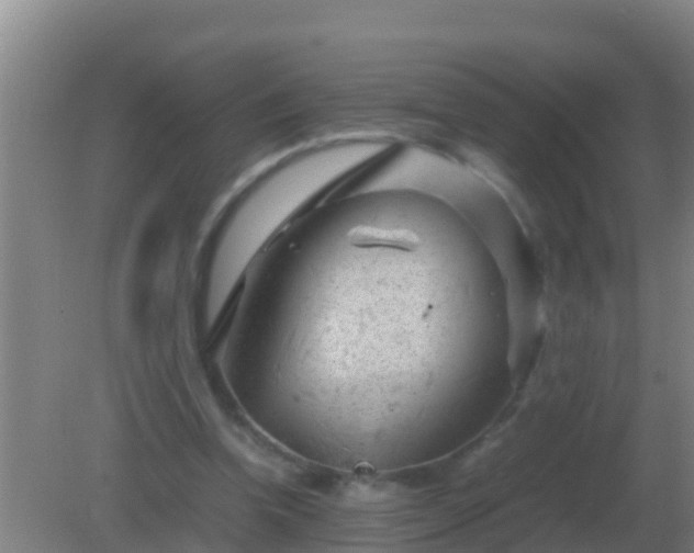 X0000082170346200701270006