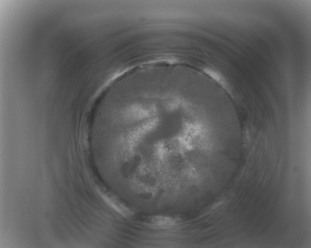 X0000082170347200701270006