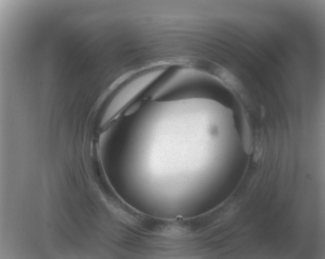 X0000082170348200701270006