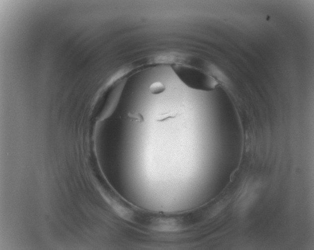 X0000082170349200701270006