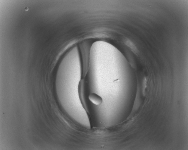 X0000082170350200701270006