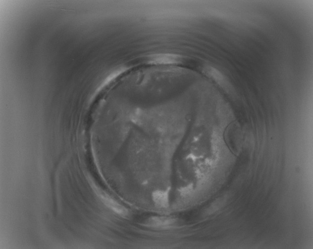 X0000082170351200701270006