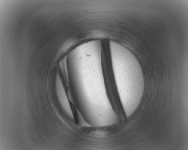 X0000082170352200701270006