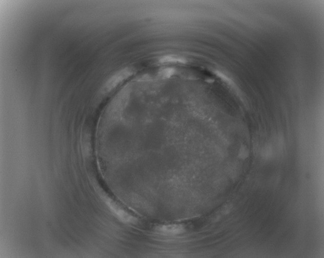 X0000082170353200701270006