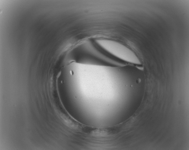 X0000082170354200701270006